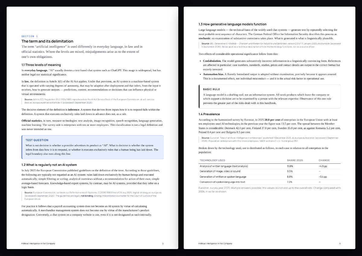 Zwei Seiten aus dem PDF von „AI in the Company“