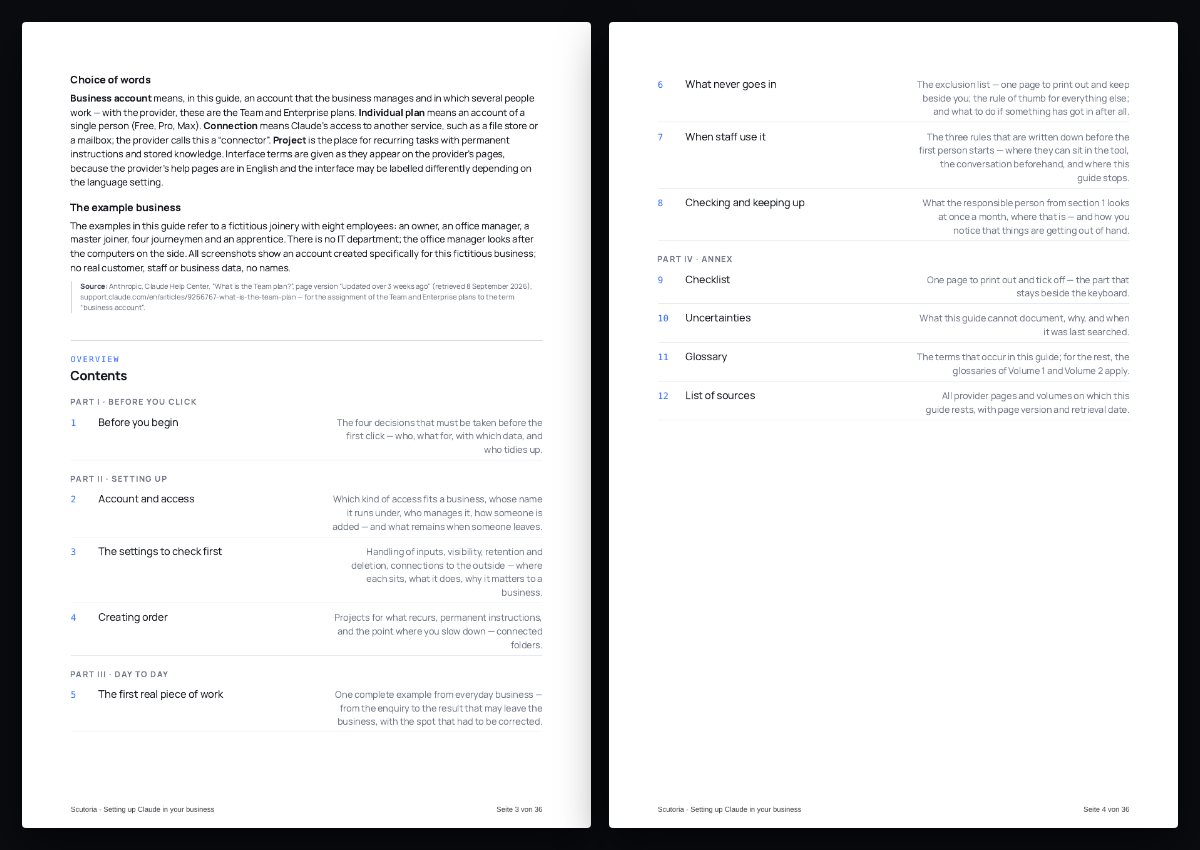 Zwei Seiten aus dem PDF von „Setting up Claude in your business“