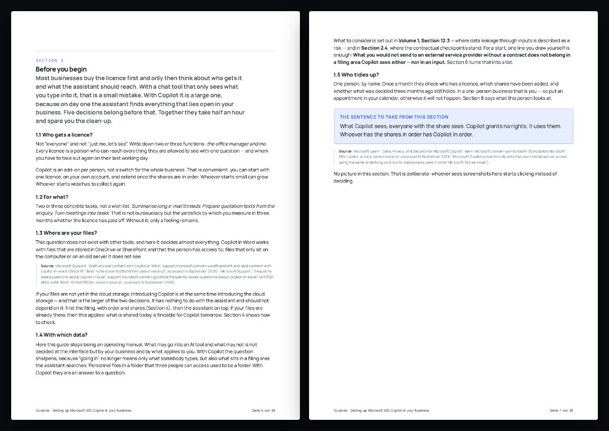 Zwei Seiten aus dem PDF von „Setting up Microsoft 365 Copilot in your business“