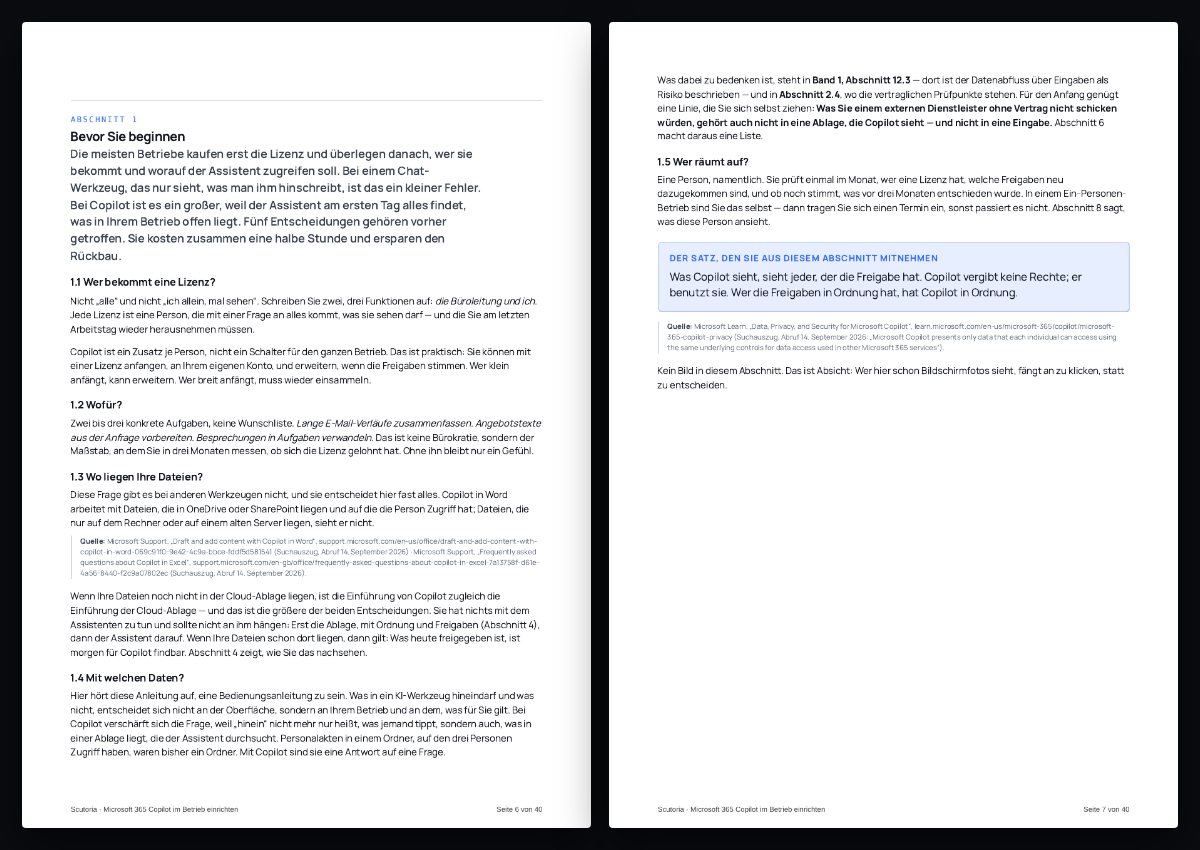 Zwei Seiten aus dem PDF von „Microsoft 365 Copilot im Betrieb einrichten“