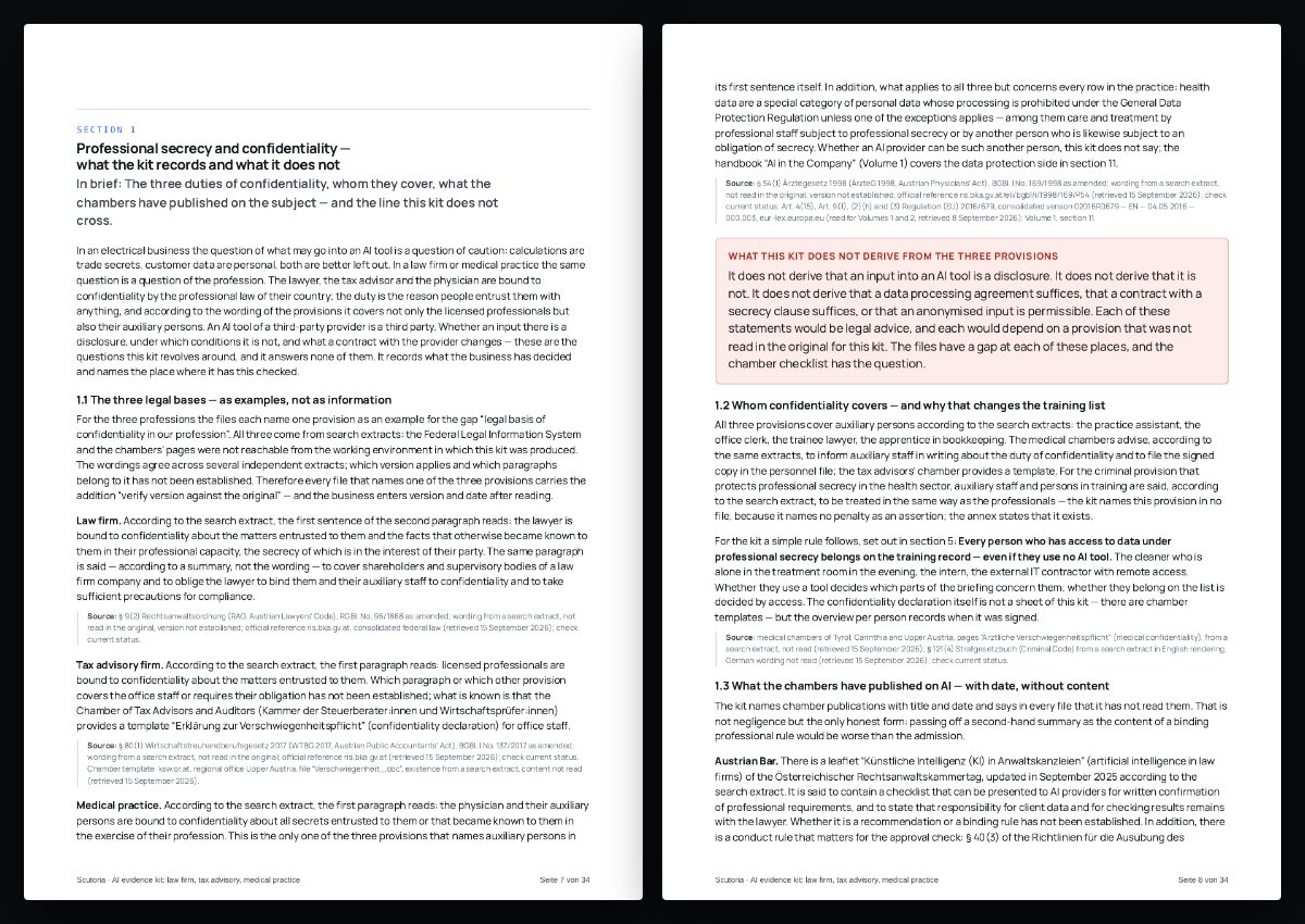 Zwei Seiten aus dem PDF von „AI evidence kit: law firm, tax advisory, medical practice“