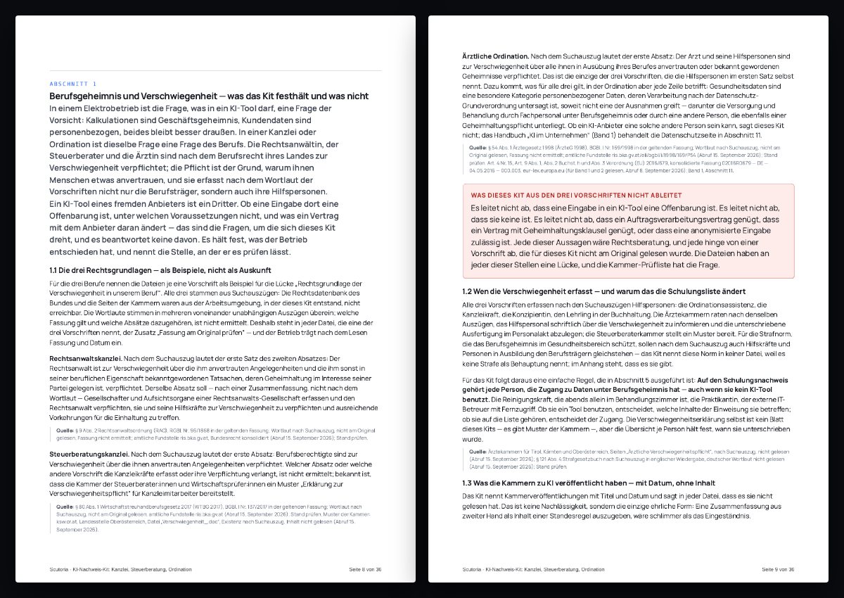 Zwei Seiten aus dem PDF von „KI-Nachweis-Kit: Kanzlei, Steuerberatung, Ordination“