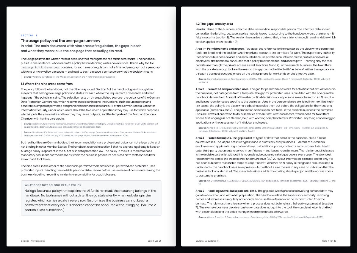 Zwei Seiten aus dem PDF von „AI evidence kit“