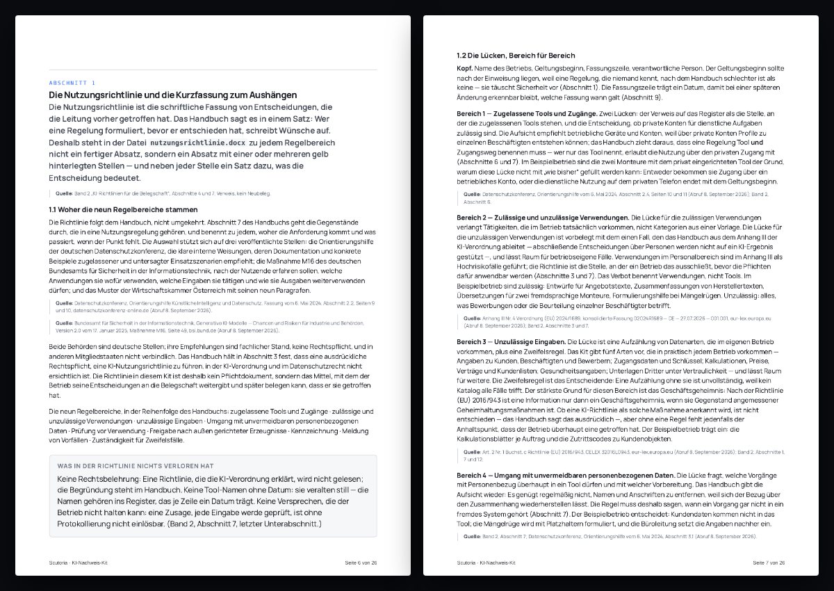 Zwei Seiten aus dem PDF von „KI-Nachweis-Kit“