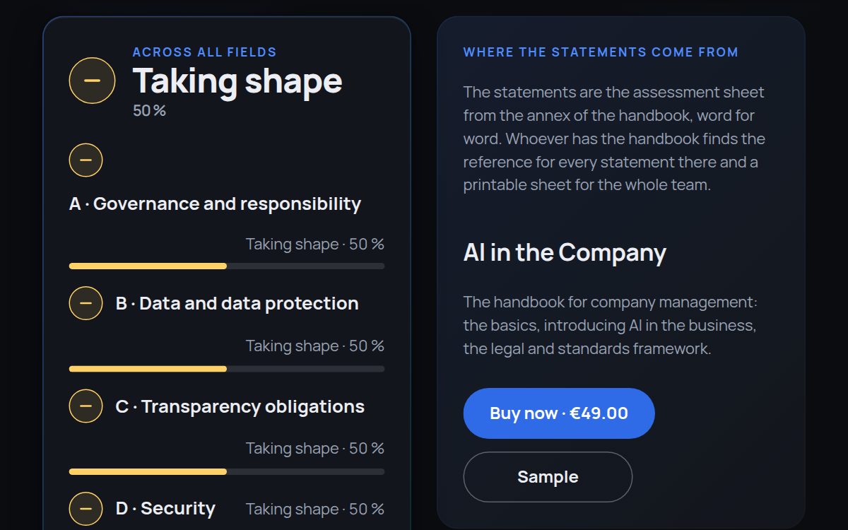 What the result looks like: Where does my business stand on AI?